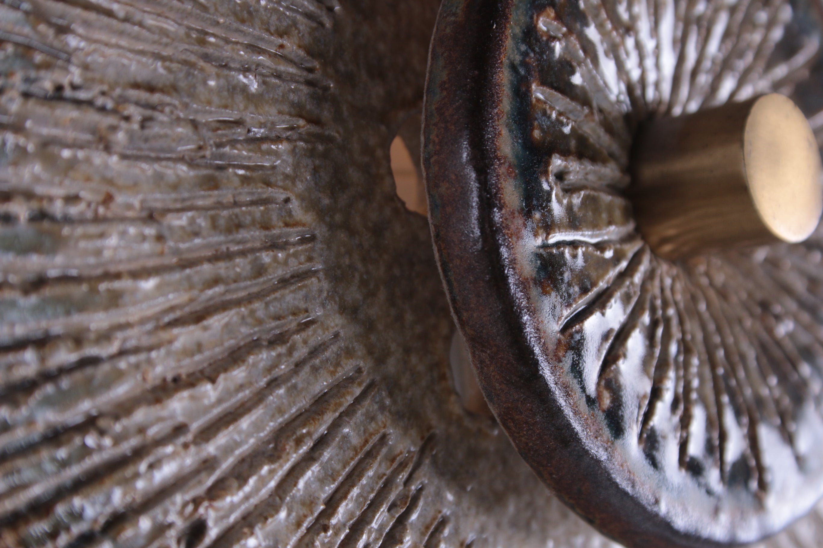 Soholm Wandlamp van Noomi Backhausen & Poul Brandborg detail voorkant