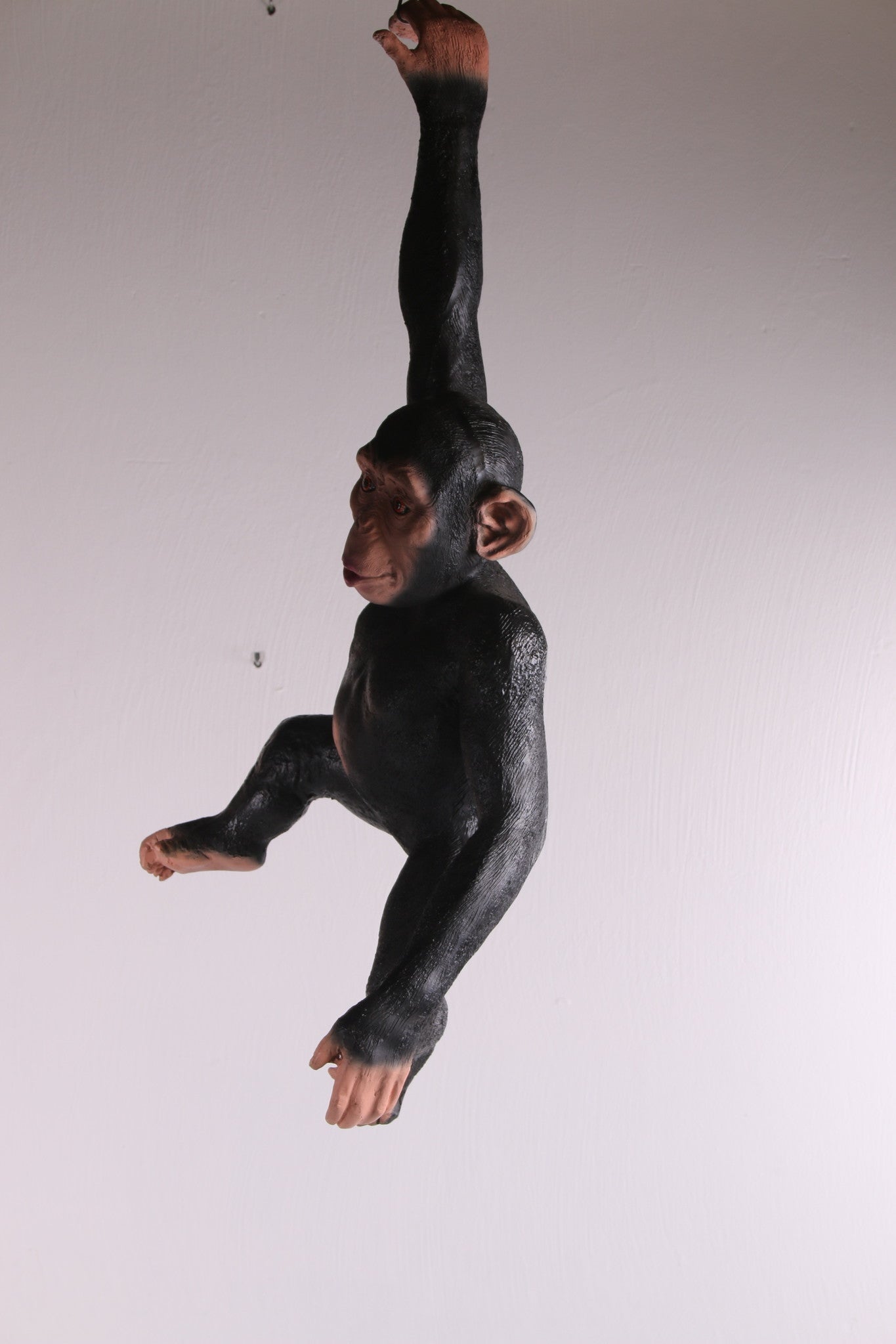 Hangende aap gemaakt om ergens aan te hangen zijkant