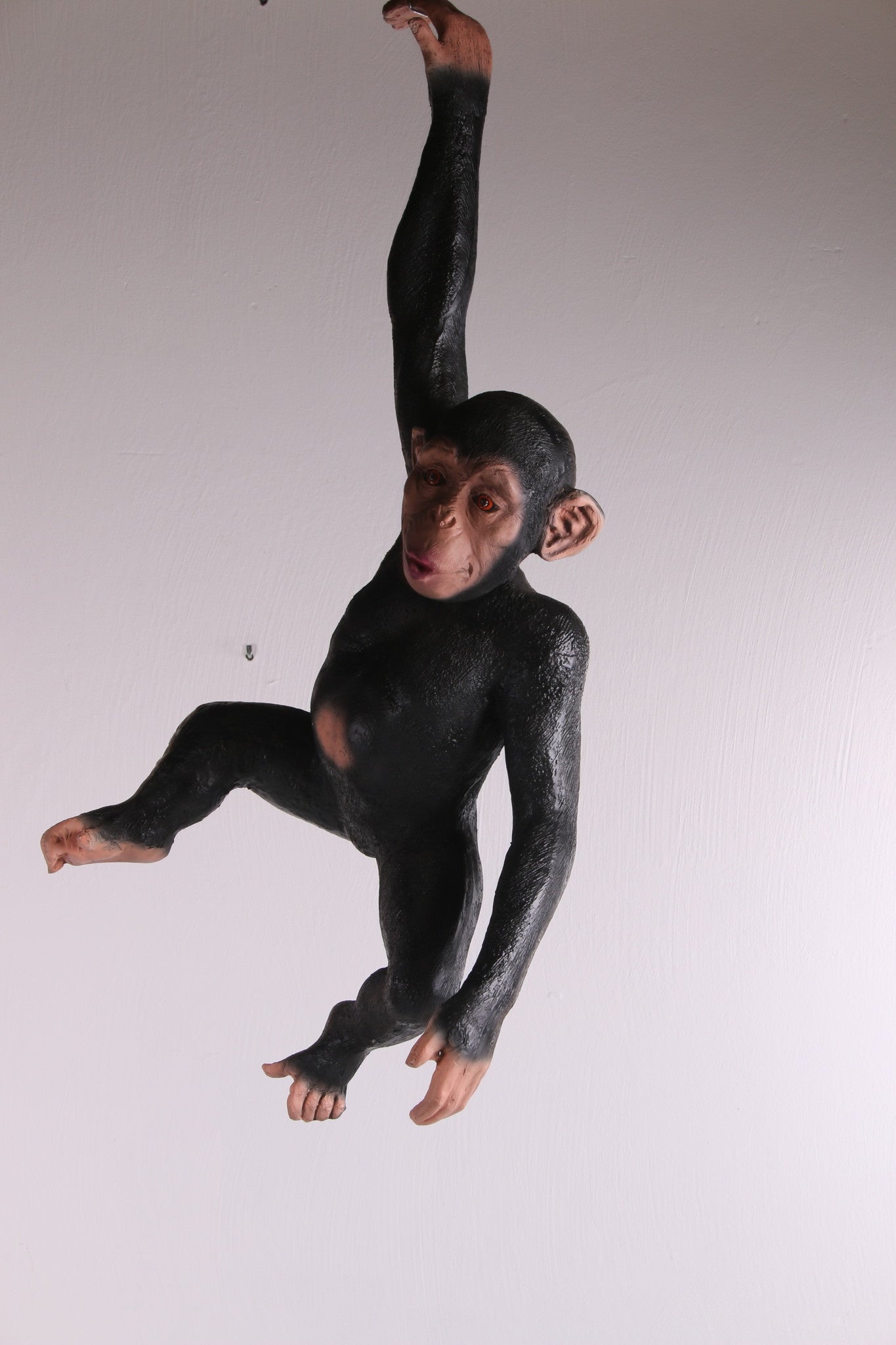 Hangende aap gemaakt om ergens aan te hangen voorkant