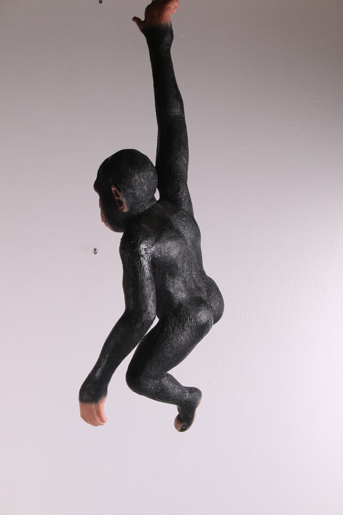 Hangende aap gemaakt om ergens aan te hangen achterkant