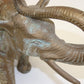 Grote Olifanten Massief Brons detail hoofd olifant