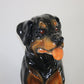 Keramieke Rottweiler Hond detail hoofd vooraf