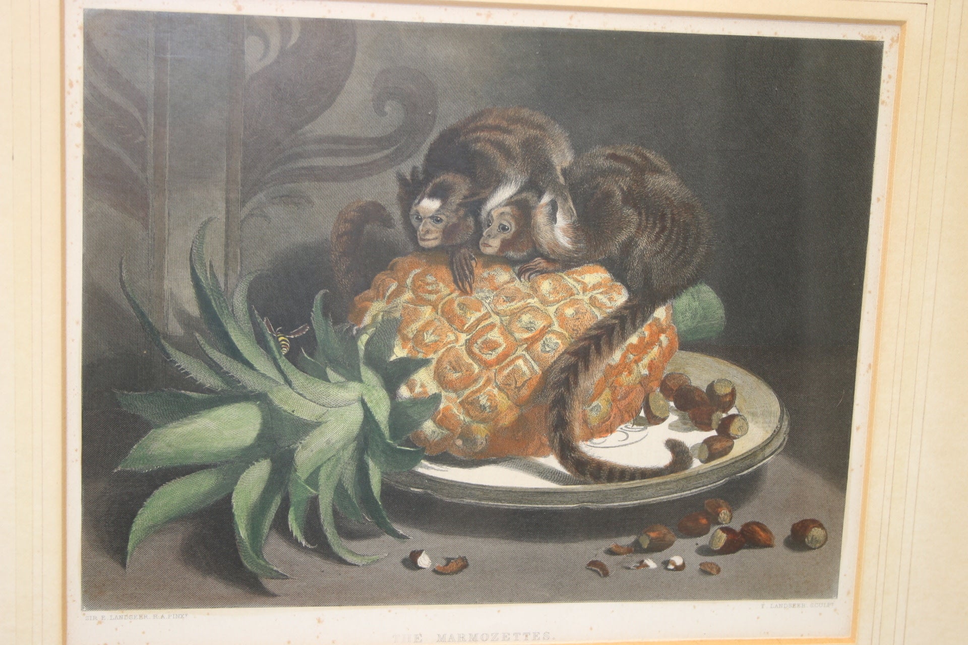 Wanddecoratie druk hond apen 1880 voorkant aapjes