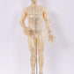 Chinese Acupuncture Pop zacht rubber Man voorkant